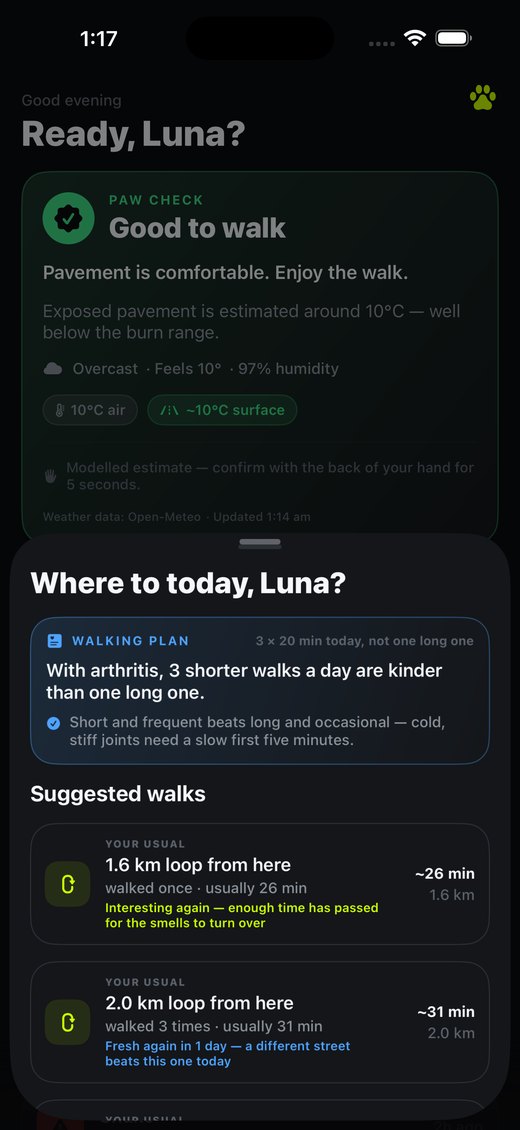 The pre-walk planner suggesting loops the owner already walks, with advice on which are fresh again for the dog.